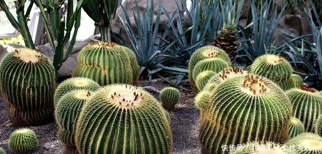 尊严|深情的人,一旦不爱了,就会变“狠”