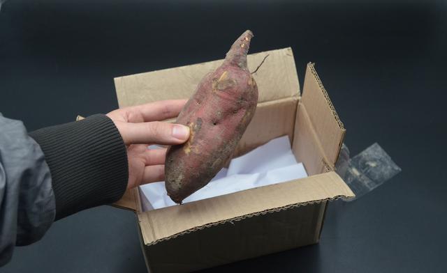  会越放越甜|保存红薯有妙招，一个简单的方法，放一年都不会坏，还越放越甜