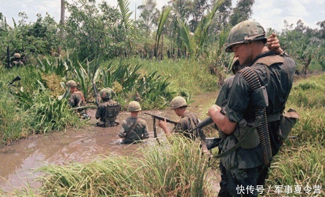 越南|越南小伙野外发现神秘洞口,进去后感叹:怪不得美军打不赢