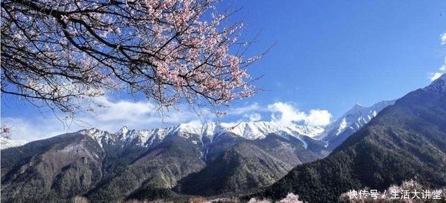  江南|西藏“避暑花海”走红，夏季15度，被誉“小江南”，适宜8月游玩