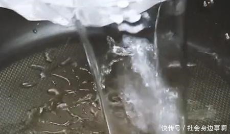 就让|做冬瓜汤的时候加点它,汤味能鲜掉舌头,孩子隔三差五就让做