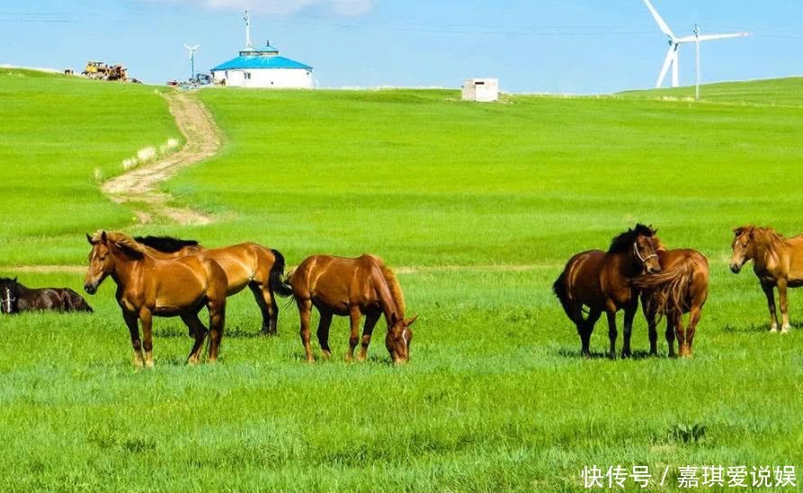 国家|为何有人说今日的蒙古是世界上地理位置最差的国家?