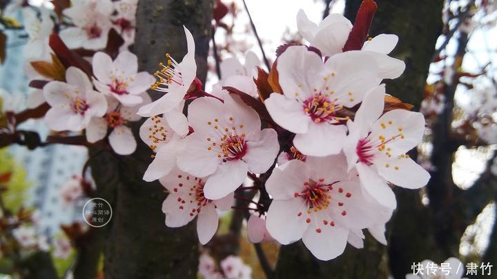 结局|很多人的爱情,都是随着毕业而终结的