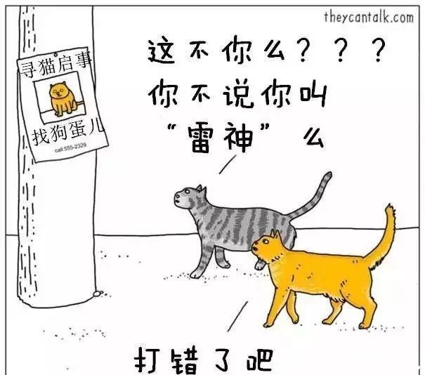 取名字|给猫狗取名字这么大的事，当然要敷衍了事啊！