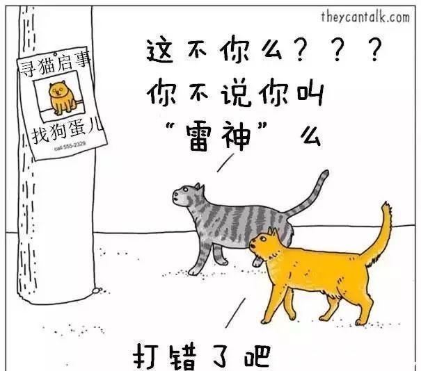 取名字|给猫狗取名字这么大的事,当然要敷衍了事啊!