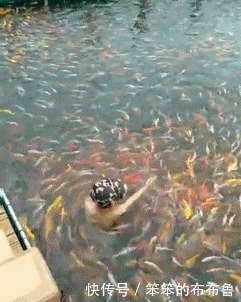 小学生|小学生0分试卷遭曝光,哈哈哈哈哈哈~笑的我脸都僵硬了!