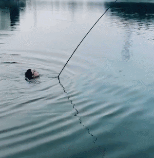今晚|搞笑GIF:大哥:大吉大利,今晚吃鸡。