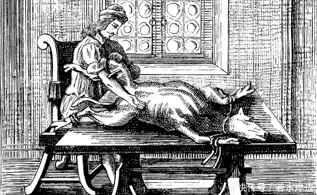  血液里|人类输血的起源：把小牛血输入疯子体内，希望他不再发疯变温柔