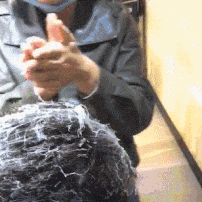  包子|搞笑GIF：包子汪根本就不怕你