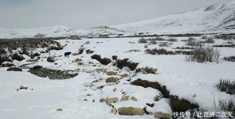 天灾|中国最大的一次天灾，导致数亿人死亡，不然中国人早超20亿！