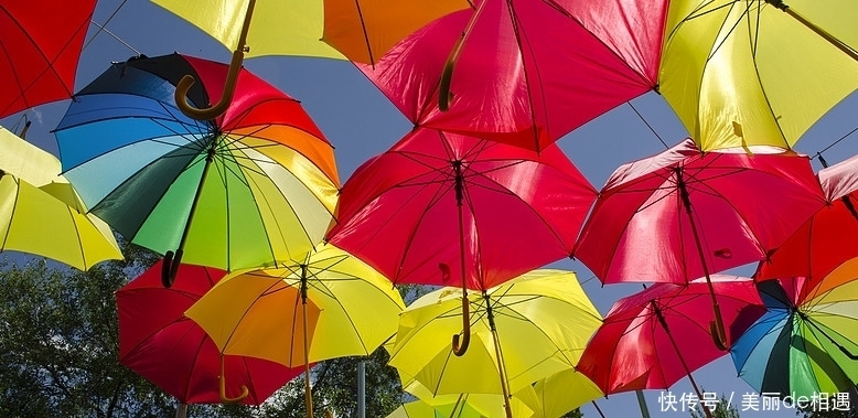 眷恋|我渴望一把属于自己的伞，那伞可以帮我遮挡风雨，也给了我一生的眷恋