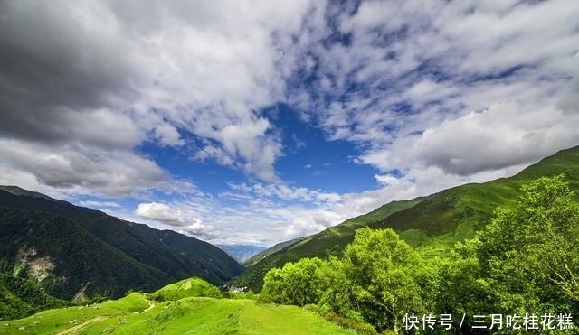 冰清玉洁|冰清玉洁银耳,红的发紫的紫薯,这锅粥必须好吃又顺口