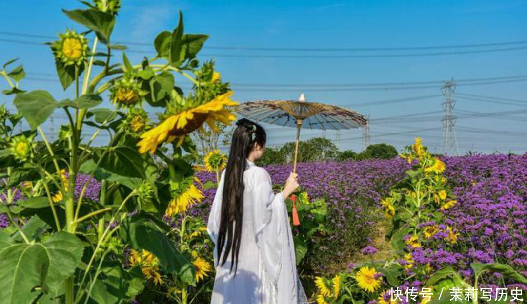  车遥遥篇|范成大最经典的一首爱情诗，短短的几句，写出了世间最美的爱情！