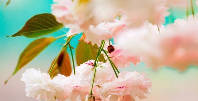 精辟|发人深省的24句人生感悟句子,精辟入骨,一生必读