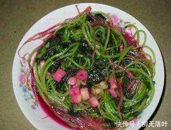 野菜|它是野菜虽不起眼,营养却不输正牌蔬菜