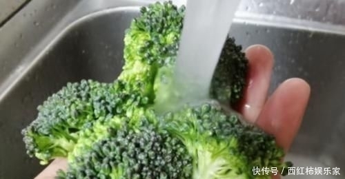 西兰花|清水洗西兰花,比没洗还脏,教你3个小妙招,虫卵污垢自动溜出来!