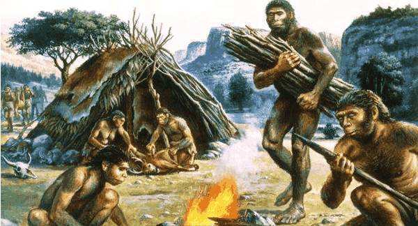 聪明|恐龙在地球上1.6亿年,为何没有进化出聪明的脑袋,创造文明?