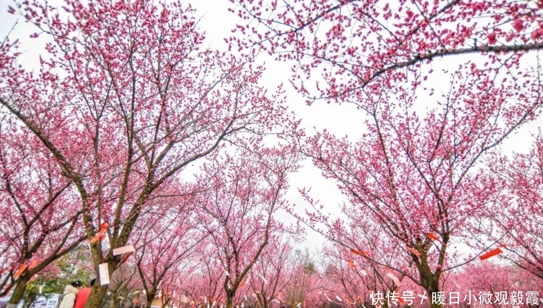 浅谈|浅谈秀丽东方IP对成都公园城市建设的借鉴作用