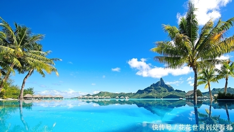 到来|夏至将要到来,防三病,忌二事,身体健康一整年