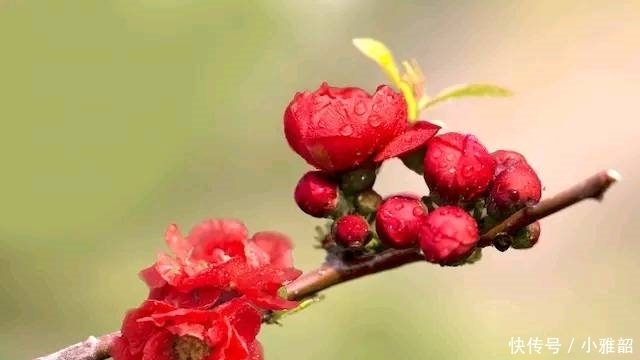 妻子|是女人心目中的理想丈夫的3生肖男,责任心强,懂得体贴妻子