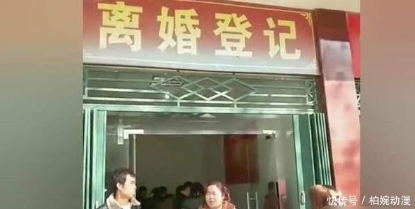 主人|主人第一次带猫坐车出去玩,它的反应哈哈哈