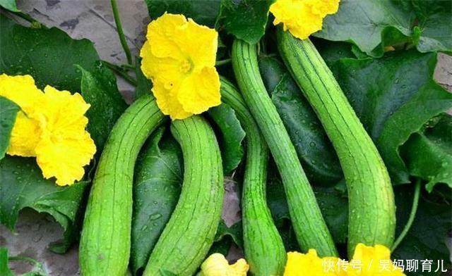 聪明|聪明女性都爱的食物,坚持吃一些,延缓衰老,祛皱润肤,好处多多