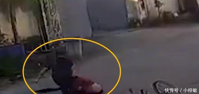  挥伞|大妈逆行撞车挥伞打人被反殴，受伤住进医院，家属：他下手那么重