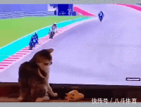  gif|搞笑gif：为了藏5元私房钱，又逼疯了一个