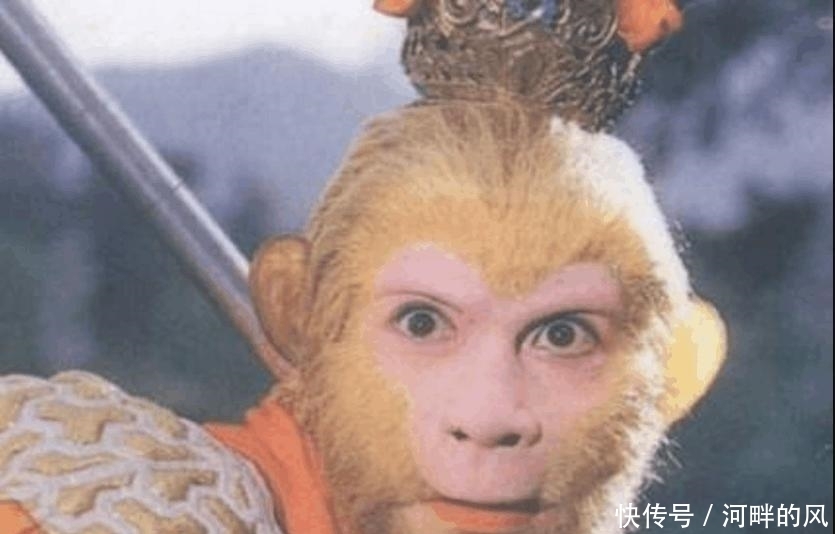 黄狮精|原来孙悟空也有徒弟, 一收就收了三个, 来头个个不小