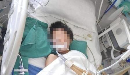男孩|男孩公交车上多次故意踢踹乘客，教育无效后，男子的反击太残忍