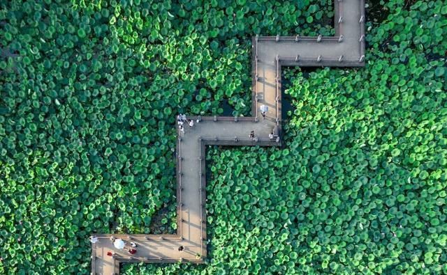 三暑|小暑，“上蒸下煮”，最热天气正在赶来“三暑”“三伏”究竟有啥联系