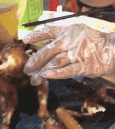 GIF|搞笑GIF:小姐姐别走,我们交个朋友