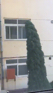 场合|搞笑GIF:妹子,搞笑要分场合,阿姨让你弄的都不知所措了