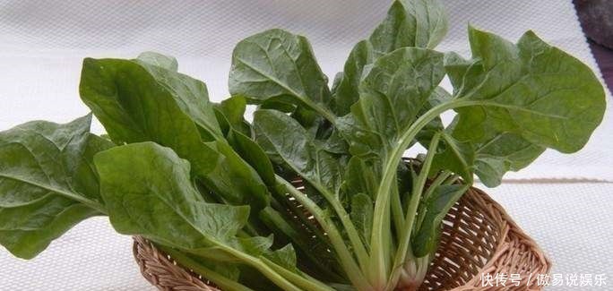 菠菜可以|菠菜和它是天生的死对头,不能一起食用,现在知道还不晚