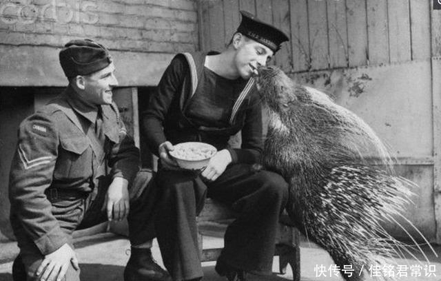 心酸|10张罕见历史老照片：图2让人心酸、图8让男人忍不住多看几眼