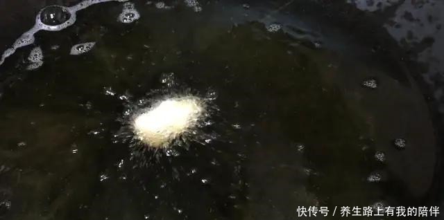 失败|炸油条有人用泡打粉,有人用酵母粉都不对,教你正确做法,零失败