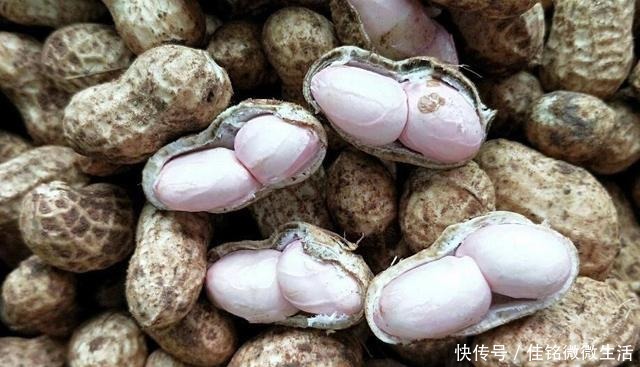 入味|煮“盐花生”只加盐可不够，多做这一步，花生又香又入味！