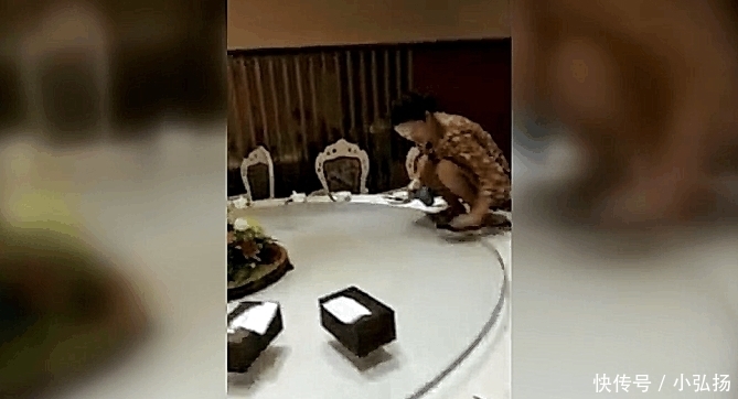 客人|女服务员“跪式”工作,顾客看不下去了,老板:你明天别来上班了