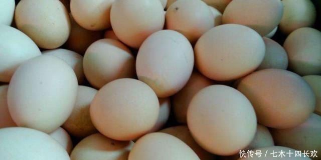 造假|现在还能买到假鸡蛋?看准这几点,鸡蛋个头大味道新鲜