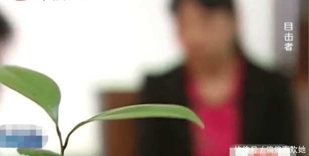 一忍再忍|妻子背叛家庭，丈夫装作不知一忍再忍，却因一张照片彻底失去理智