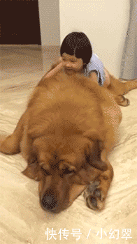 本来|爆笑GIF:本来是很喜庆的场面,你一来搞笑就尴尬了