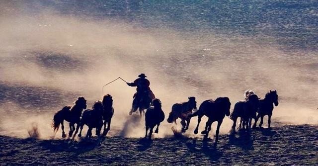 东浪死歌|大隋最后的顶梁柱:此勇猛、刚烈、忠诚的大将阵亡后,大隋休矣