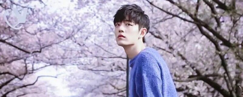 肖战|肖战加盟明星大侦探第五季是真的吗