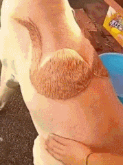  搞笑|搞笑GIF：用闺女钓小龙虾？确定是亲生的吗？