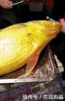 足球|让妹纸来告诉你什么才叫颠足球，哈哈哈哈