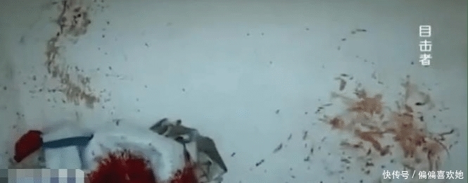 一忍再忍|妻子背叛家庭，丈夫装作不知一忍再忍，却因一张照片彻底失去理智