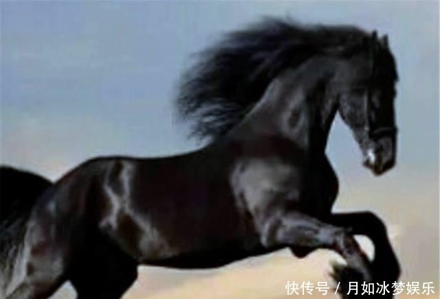 赤兔马|中国的八匹名马, 除了赤兔马, 你还知道其它的吗