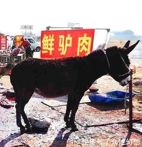 吃法|中国历史上有两道菜吃法非常残忍,现在已经没有人吃了