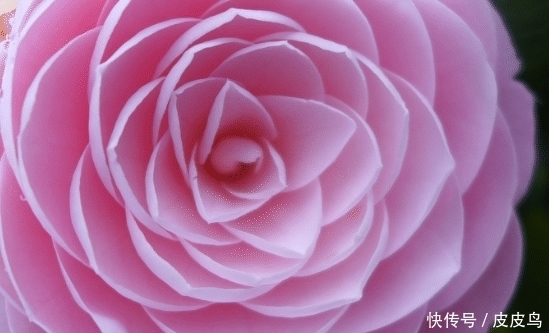 满堂|未来10天吉星高照,4属相好运接二连三,财运滚滚,满堂吉庆