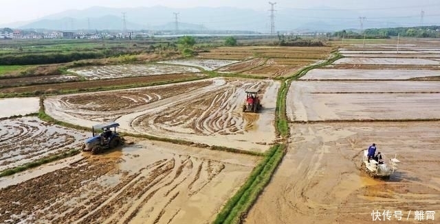 农民|春耕新事|网红、90后、海归……农业生产队伍多了“新农人”